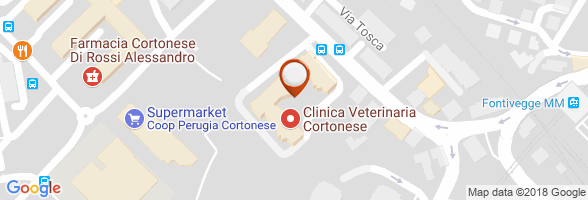 orario Ortopedico Perugia