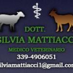 orario Medico Veterinario Silvia Dott. Mattiacci